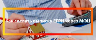 выписки из егрн мфц
